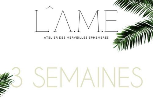 Programme des soirées l A.M.E du Festival de Cannes