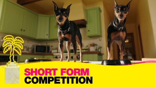Golden Revenge – Short Form Competition – CANNESERIES