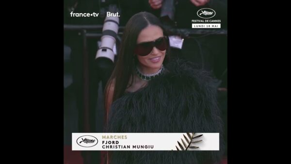 Demi Moore et Stellan Skarsgård sur le red carpet ensoleillé cannois !